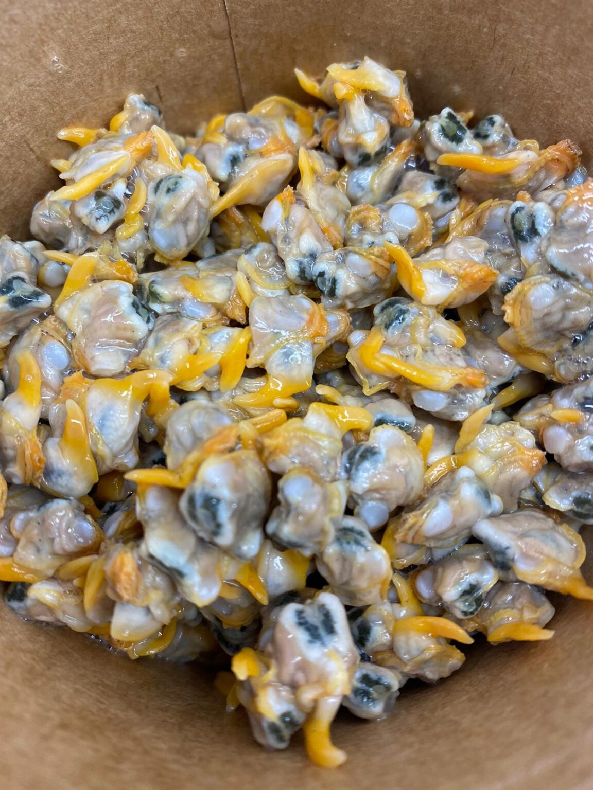 Penclawdd Cockles Albatross Fisheries