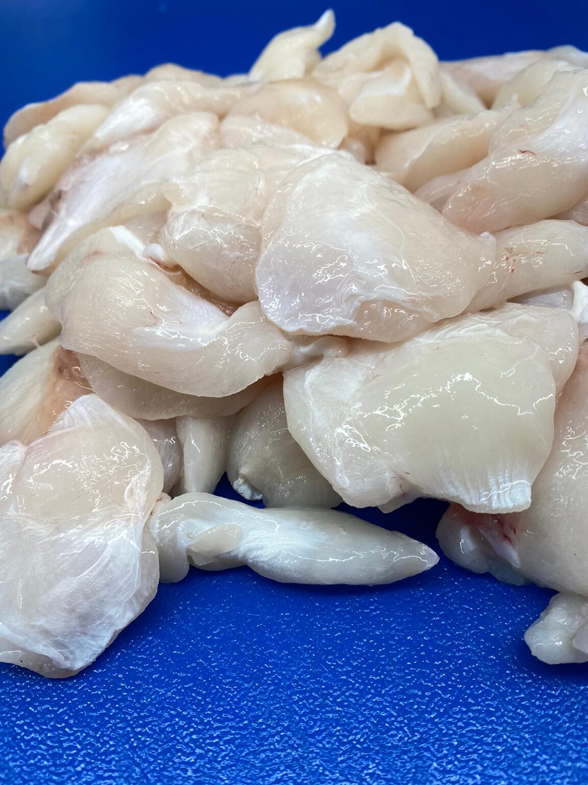 Cod Cheeks Albatross Fisheries