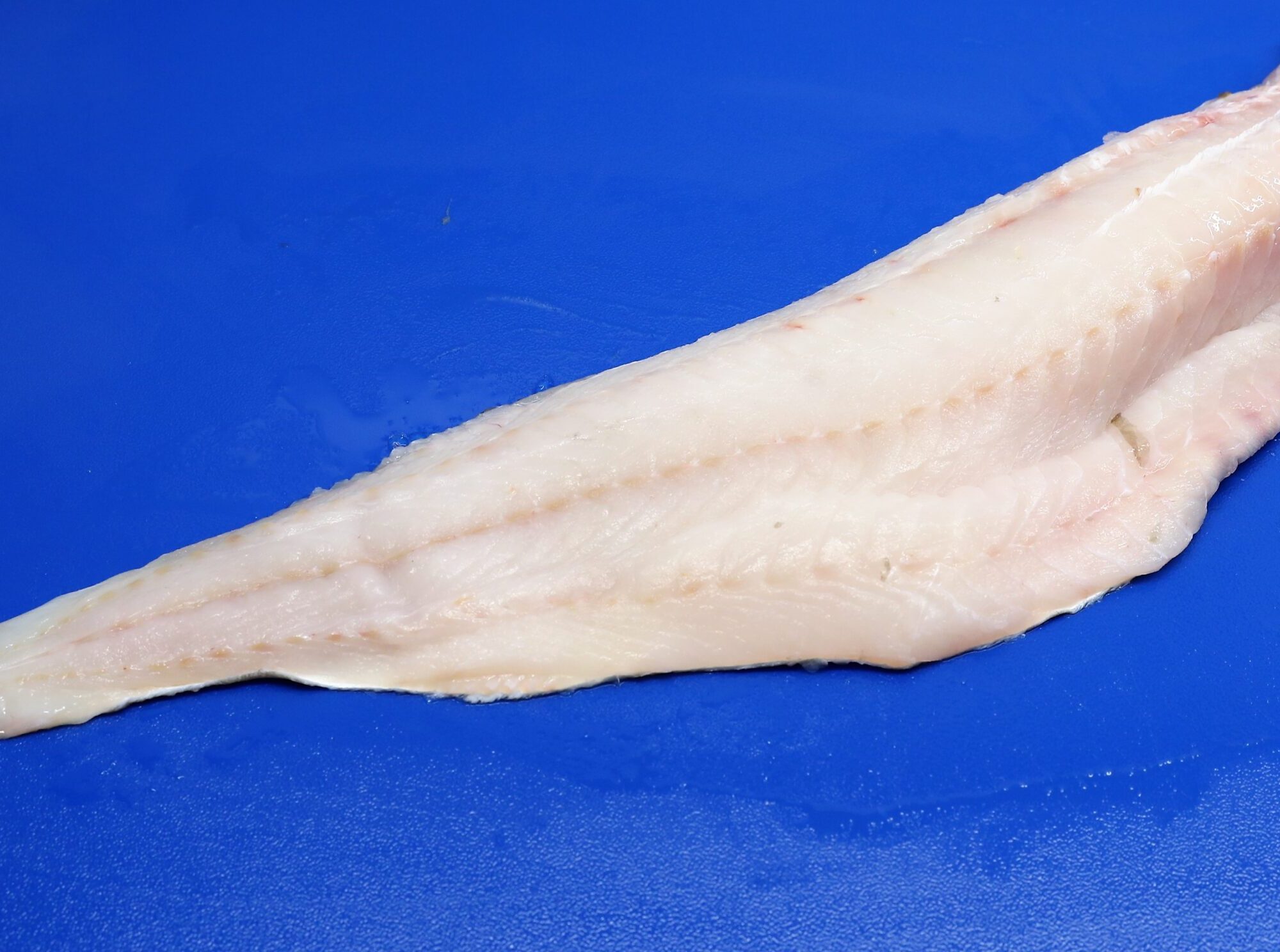 Haddock Fillets [1-2lb]