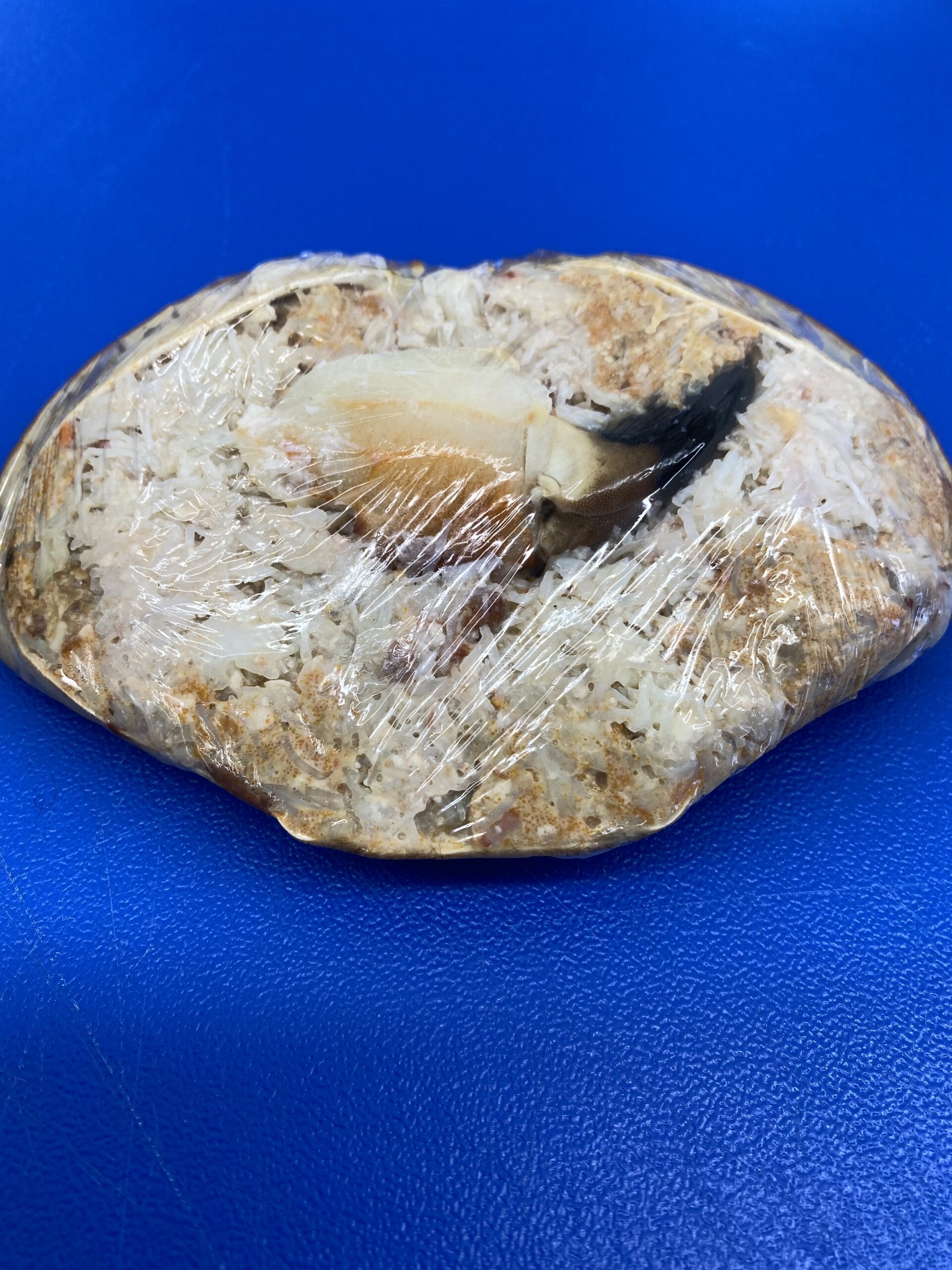 Dressed Crab [228g Frozen]